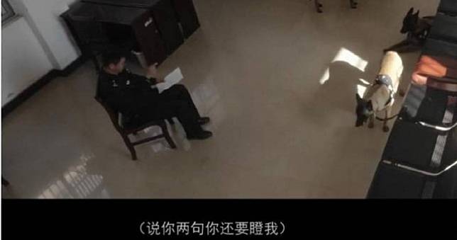 4警犬被通報！遭訴「毆打同事」、「上班死氣沉沉，下班魅力四射」　網全笑翻