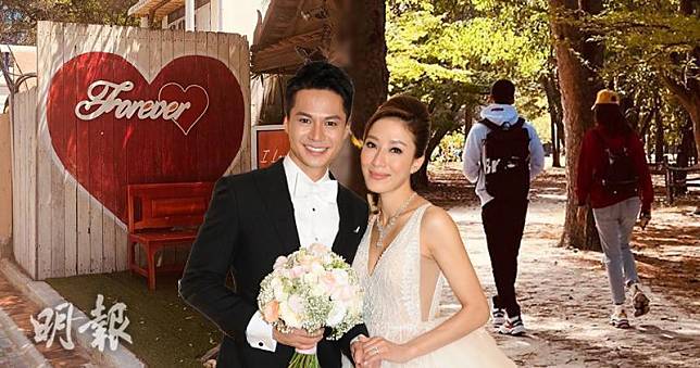 羅仲謙、楊怡今天結婚3周年，未知兩人如何慶祝。（楊怡Instagram圖片 / 資料圖片 / 明報製圖）