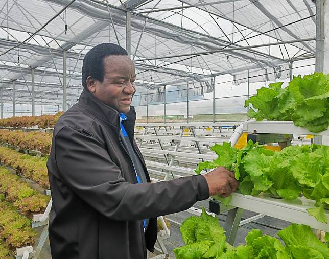 Grasiano Nyaguse, Minister of the Embassy of the Republic of Zimbabwe in China, visits the soilless cultivation greenhouse of Guizhou Aerospace Intelligent Agriculture Co., Ltd. in Guiyang, southwest China's Guizhou Province, June 4, 2024. (Xinhua/Wu Si)