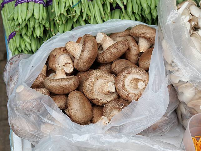 Shiitake_mushroom_in_Vegetable_store_in_Yuen_Long