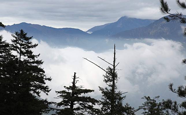 南橫沿線高山自然美景多還不時有雲海出現。（記者許正雄攝）