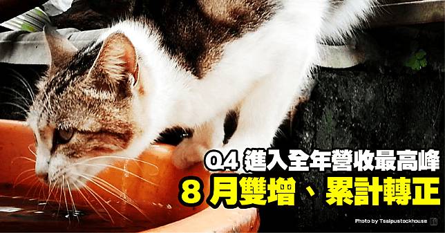 8 月雙增、累計轉正，Q4 進入全年營收最高峰