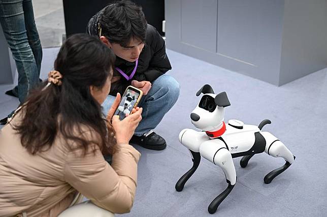 People interact with a robot dog at the 2025 Global Developer Conference held in Shanghai, east China, Feb. 21, 2025. (Xinhua/Chen Haoming)