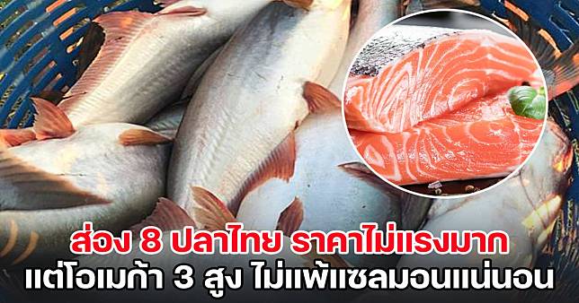 ส่อง 8 ปลาไทย ราคาไม่แรงมาก แต่โอเมก้า 3 สูง ไม่แพ้แซลมอนแน่นอน