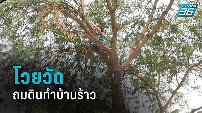 ยายสุดทนปีนต้นมะขาม โวยวัดถมดินก่อสร้างทำบ้านร้าวทั้งหลัง จี้เจ้าอาวาสรับผิดชอบ