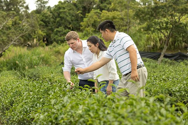 Winkworth-Smith and Chiu with Taiwan tea master Junjie Lin (Photo: Saicho)