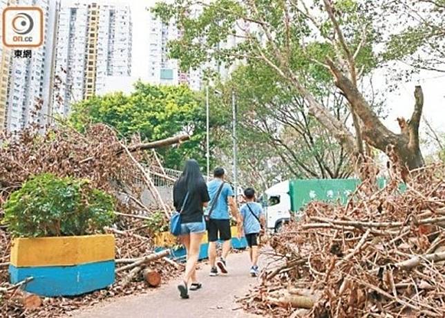 山竹去年襲港，威力驚人。