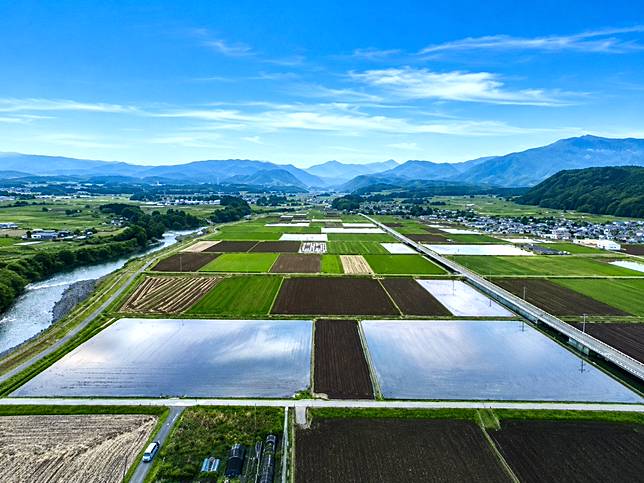 熊本水田湛水（出處／熊本市官網）