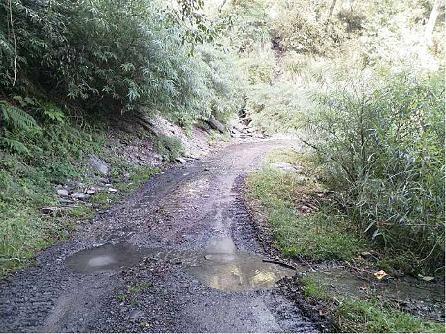 大鹿林道危險路段進行拌水泥施作改善。 （記者葉蒼秀攝）