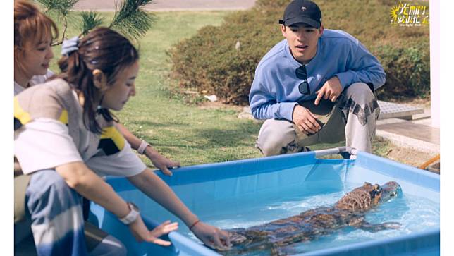 陳昊森（右起）、林心如、陳意涵幫鱷魚洗澡。TVBS提供