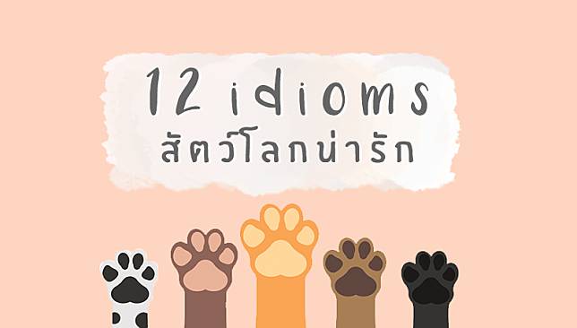 12 สำนวนภาษาอังกฤษ หมวด สัตว์โลกน่ารัก รู้ไว้ จะได้ไม่งง!