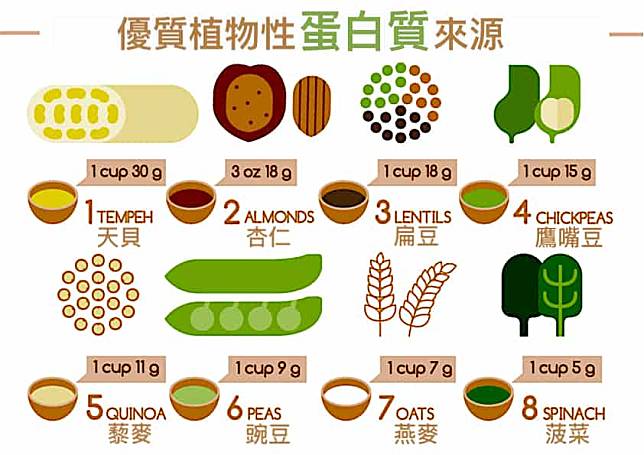 吃素必知！9類植物性優質蛋白質來源