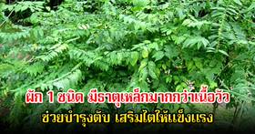 ไทยมีเพียบ! ผัก 1 ชนิด มีธาตุเหล็กมากกว่าเนื้อวัว ถูกยกย่องว่าเป็น โสมของคนจน