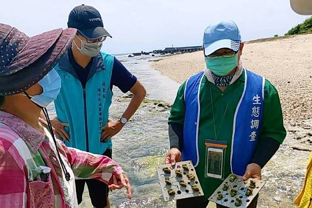 海洋委員會海洋保育署支持下，積極推動小琉球海洋資源復育工作。（圖／屏東縣政府提供）
