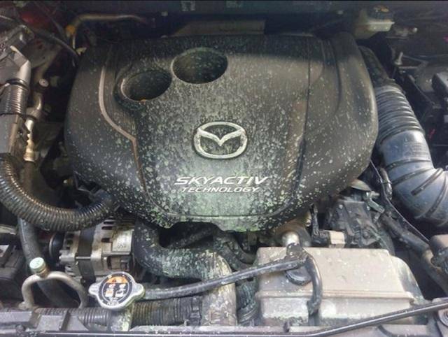 台灣 Mazda 針對 2012～2017 年生產的 CX-5、Mazda 6 柴油車型發佈第二次引擎召修通知，影響數量統計為 11,459 輛。