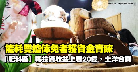 能耗雙控倖免者獲資金青睞，「肥料廠」轉投資收益上看20億，土洋合買