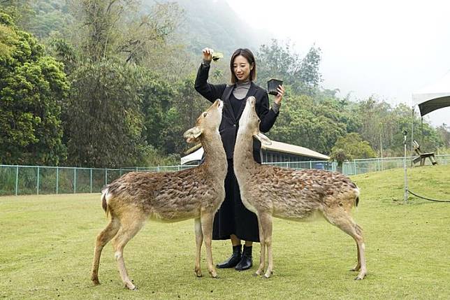 嘉義縣親子旅遊超夯！逐鹿部落餵鹿、享鄒族美食、順遊公興森態園區