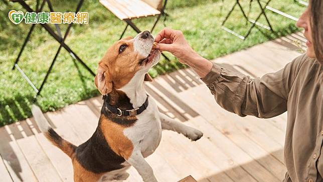 毛小孩有撫慰人心的力量，進行動物輔助治療可以帶給長者更多的刺激感，於是他們經過評估後，讓3隻服務犬經過驅蟲、洗澡及行經之處清潔消毒後，首度進到護理之家和長者互動。