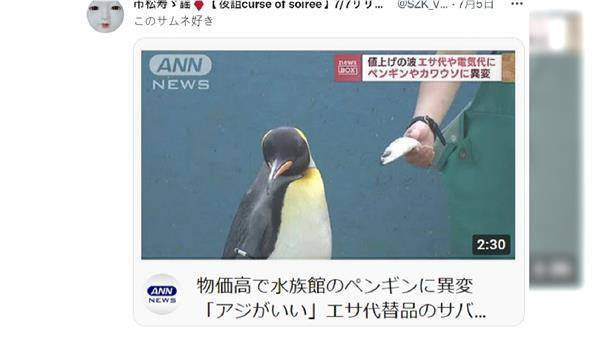 企鵝拒吃便宜的鯖魚。翻攝推特@SZK_Vdoll