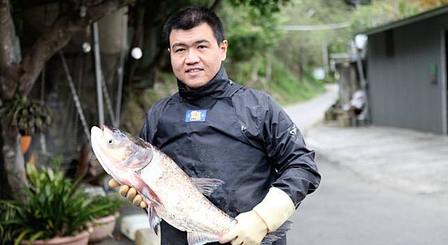 最鮮美的石門活魚，水庫水清無土腥味，不投飼料不用藥，魚片分切開拓市場