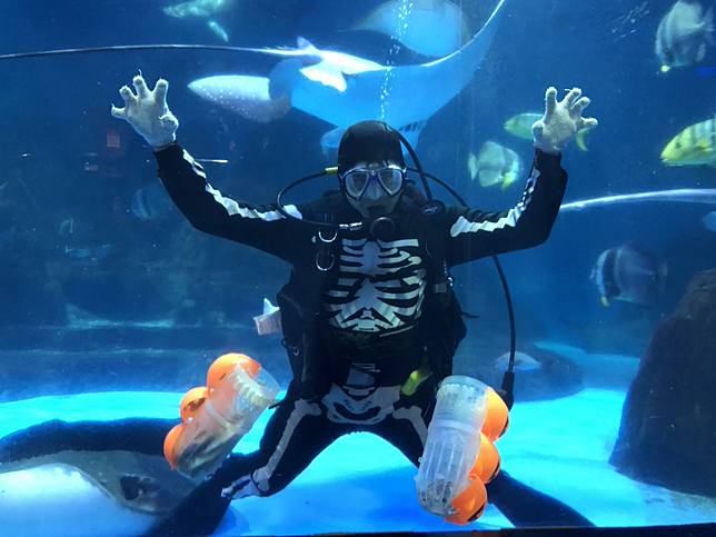 萬聖限定! 骷髏Man餵食秀(圖片提供/遠雄海洋公園)