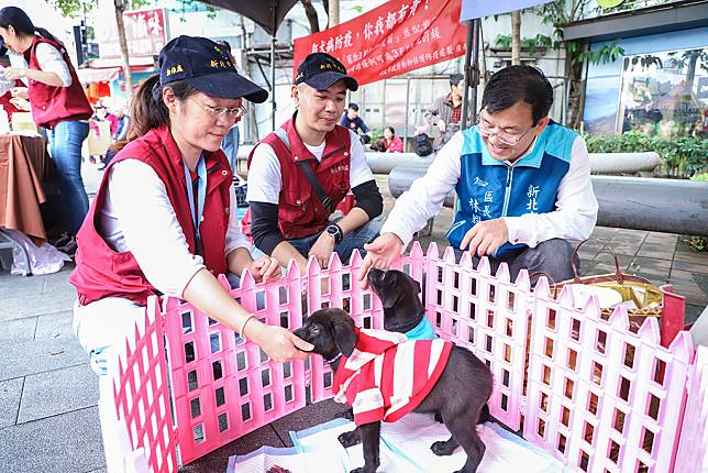 可愛犬貓認養互動區。