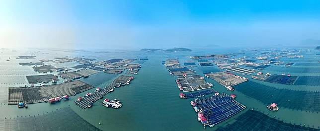 An aerial panoramic drone photo taken on Jan. 11, 2024 shows a mariculture zone in Xiapu County, southeast China's Fujian Province.(Xinhua/Jiang Kehong)