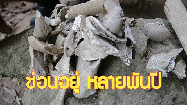 กระบี่-ฮือฮา นักโบราณคดี พบ เครื่องปั้นดินเผา ชิ้นส่วนกระดูกมนุษย์ อายุกว่า 3-5 พันปี (ชมคลิป)