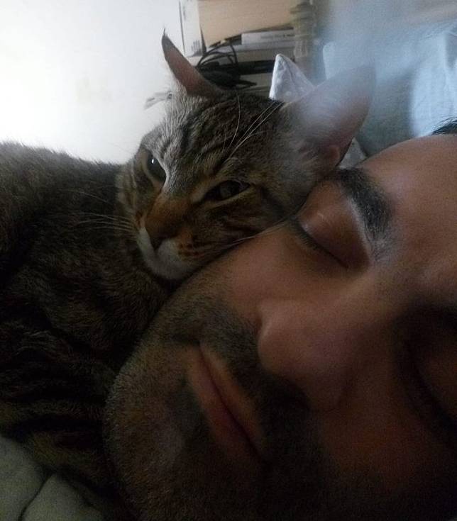 義大利一對夫妻因為被自己飼養的兩隻貓咪吵醒，才從土石流逃過一劫。圖為男主人皮亞納與他的貓。   圖：取自claudio piana臉書