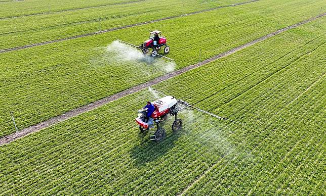 An aerial drone photo taken on Feb. 18, 2025 shows farmers operating agricultural machines to carry out field management in Qiaocheng District of Bozhou City, east China's Anhui Province. (Photo by Liu Qinli/Xinhua)