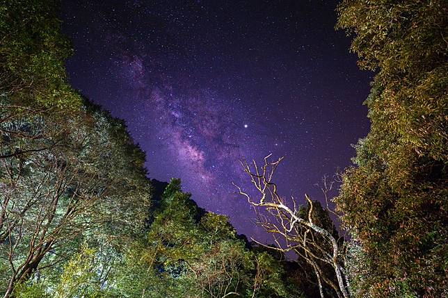 合歡仙境民宿露營區（圖片來源：Instagram @zhe_ming0726）