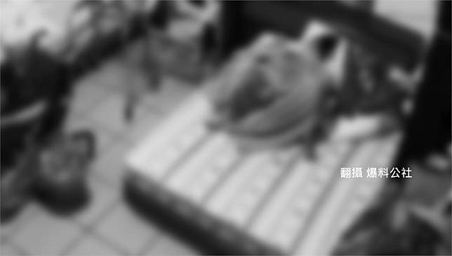 聘請的外籍看護在家中床上生小孩，讓雇主傻眼又無奈。圖／翻攝自爆料公社