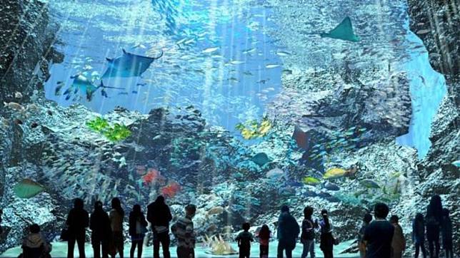 Xpark 水族館售票日期公開！5大亮點設施、票價、購票平台一次看