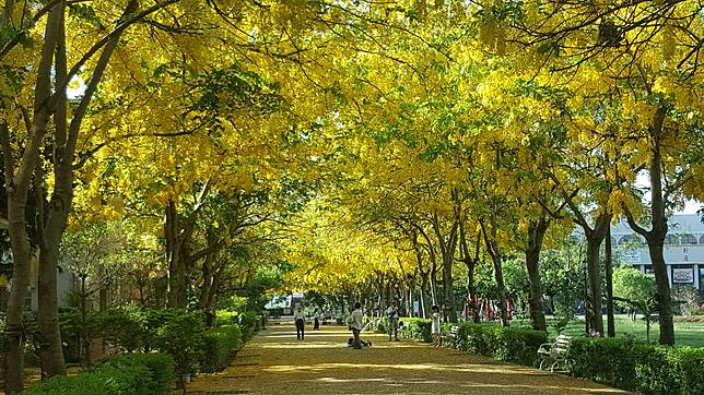 圖片提供/屏東榮譽國民之家