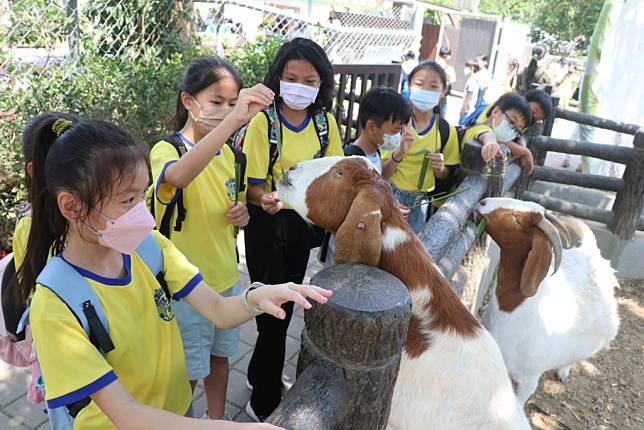 台南大學ＵＳＲ智顯農村課程帶領南大附小、篤加及後港國小學童走訪高雄壽山動物園，觀察記錄動物福利現況。（南大附小提供）