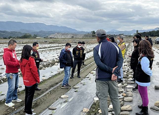 花蓮縣政府農業處、花蓮區農改場、農會及縣議會張峻議長服務團隊前往瓜田進行災害勘查。(花蓮縣議會提供)