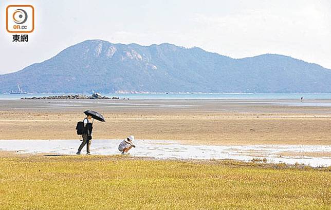 「南大嶼生態康樂走廊」計劃正進行公眾諮詢。