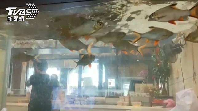 宜蘭某餐廳的魚缸水位劇烈晃動。（圖／民眾提供）