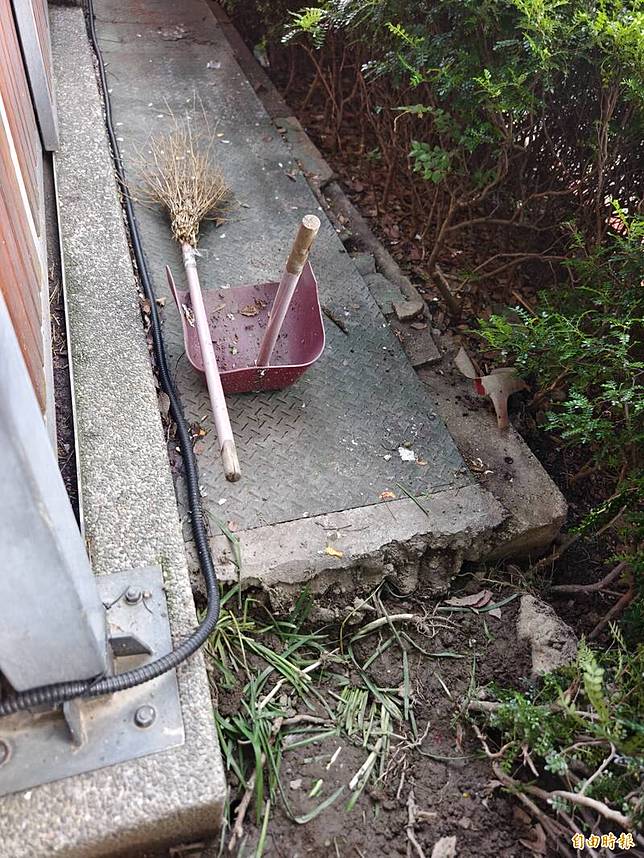 記者實地拍攝，建成圓環公園樹根周圍隨處可見疑似老鼠挖的洞。(記者王藝菘攝)