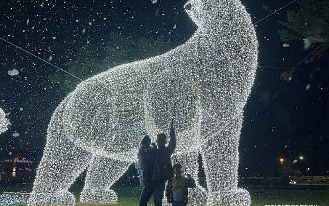 台東「下雪了」！夢幻北極熊加璀璨企鵝　鐵花村之祭打造最浪漫聖誕