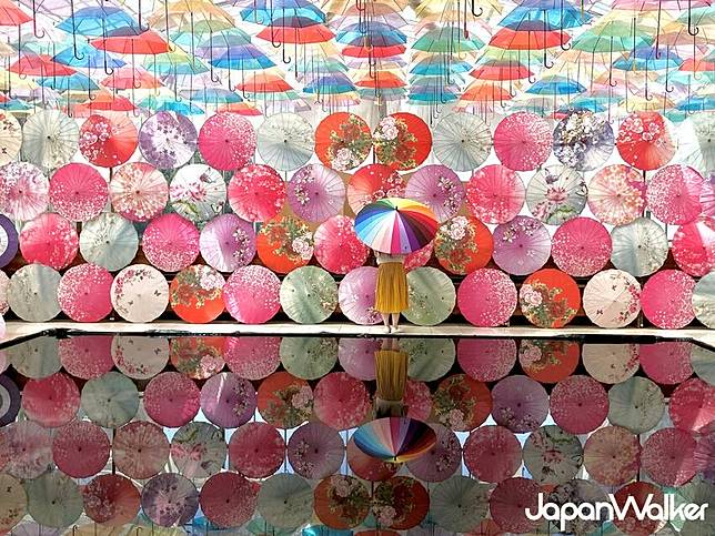 福島最強網美景點！豬苗代花草園「萬花筒花傘牆」IG狂洗版，數百支