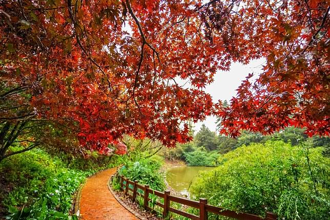 ▲圖片來源：IG@jackykao168