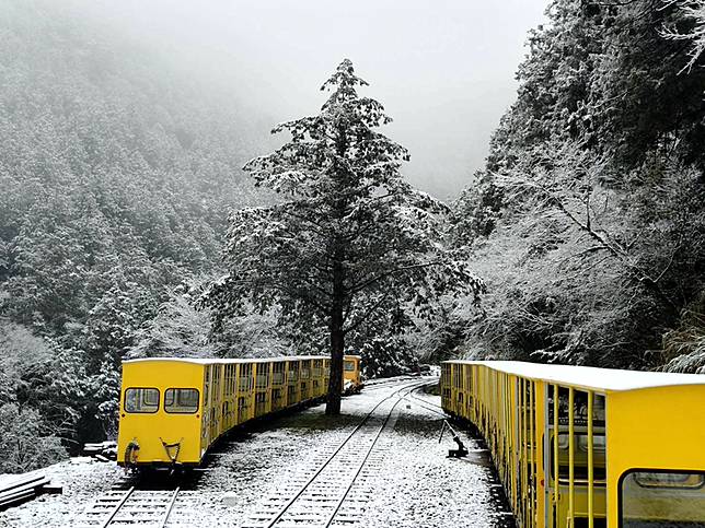 宜蘭小仙境❄️太平山3月雪美翻全場！
