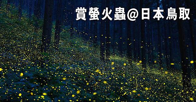 6月至7月是日本賞螢火蟲季節，鳥取縣可以賞螢火蟲。（日南町觀光協會網站圖片／明報製圖）
