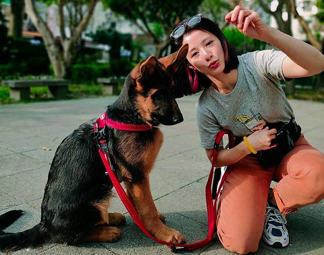 女星李蒨蓉最近飼養了4個月大的狼狗Wolfy，她除了親手把屎把尿，還每天出門遛狗6次。（李蒨蓉提供）