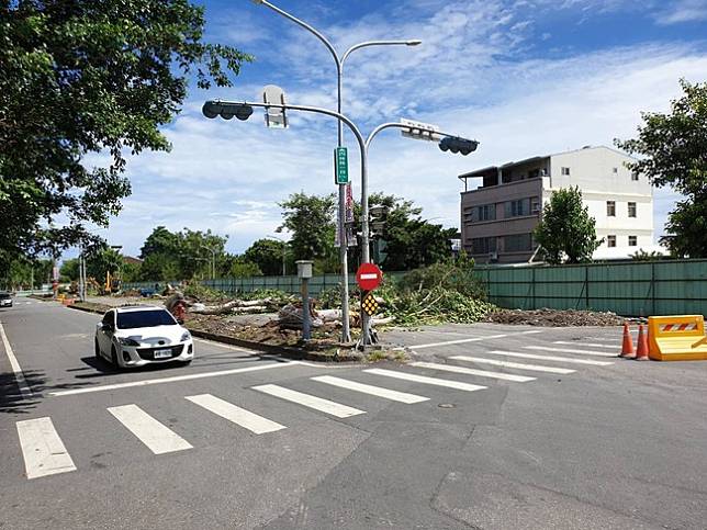 菩提樹遭砍（圖/翻攝自台東前市長賴坤成臉書）