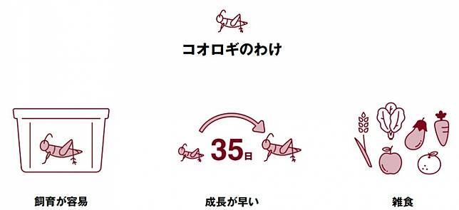 
<p>圖片來源：<a href=