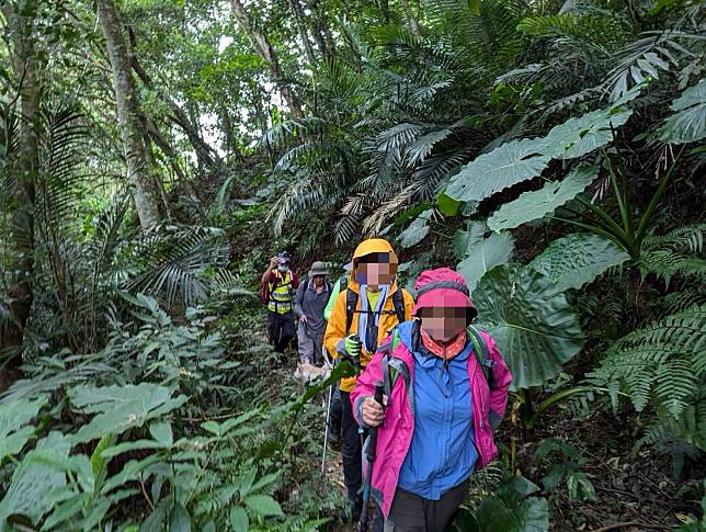 民眾自組「雙石縱走」登山團，遭遇蜂群攻擊，桃園消防隊員帶領民眾脫困。圖：民眾提供