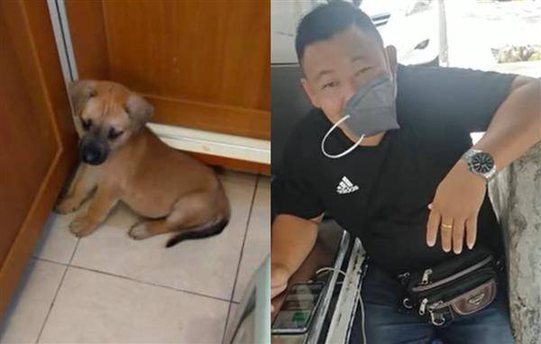 男子竟表示自己將小狗燉煮來吃。截自 FB@Malaysia Homeless Animal Movement
