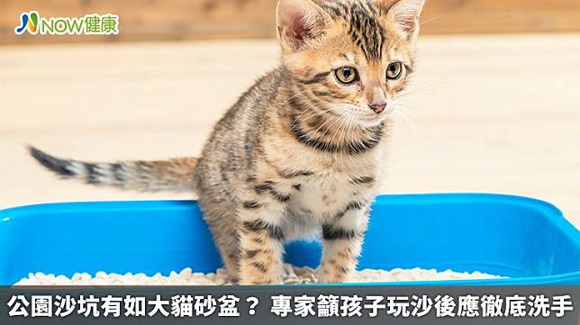 ▲招名威在FB指出，「如果野生的貓咪也來公園的沙坑上大小號的話，那小朋友在玩沙的同時，是否就等於在玩貓咪的尿與便便嗎？」（圖／NOW健康製作；圖片來源／ingimage）